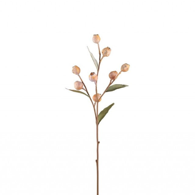 Eucalyptus med bær beige, 65cm