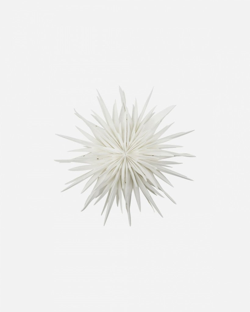 Papirstjerne Reef 40cm, Off-White