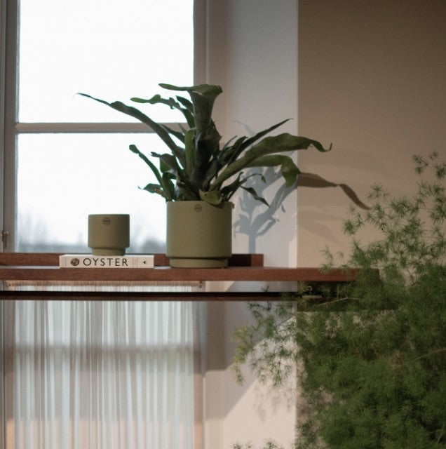 Solid Potte Ø10cm, Green