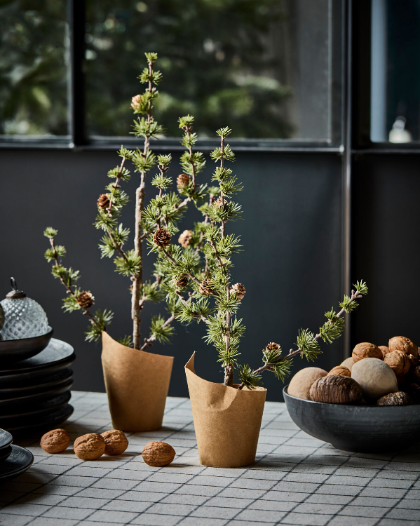 Juletre, HDStay