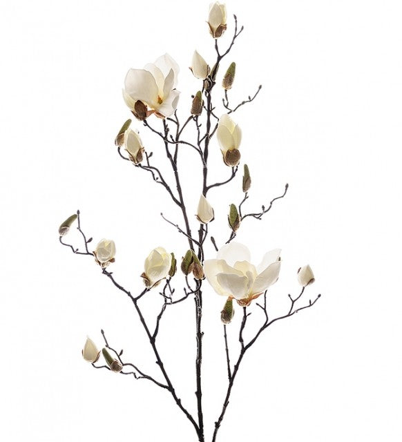 Magnolia Hvit, 110cm