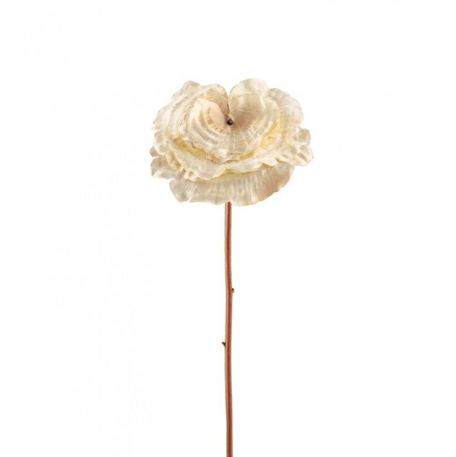 Lackticka Krem, 53cm