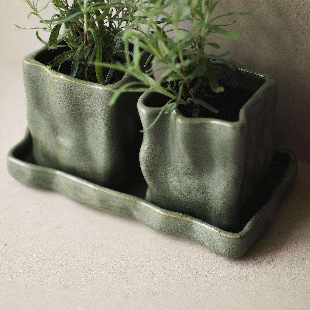 Herb Krukke 3 deler, Moss