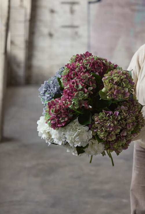 Hortensia Hvit, 65cm