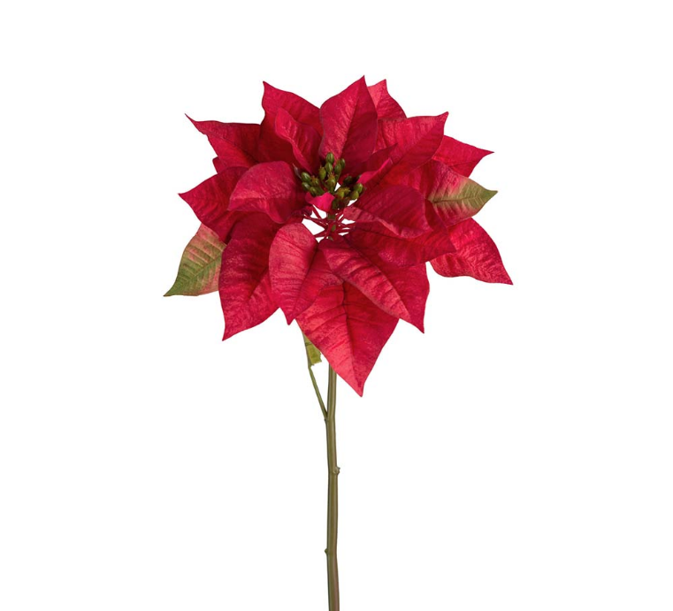 Julestjerne Rød, 70cm