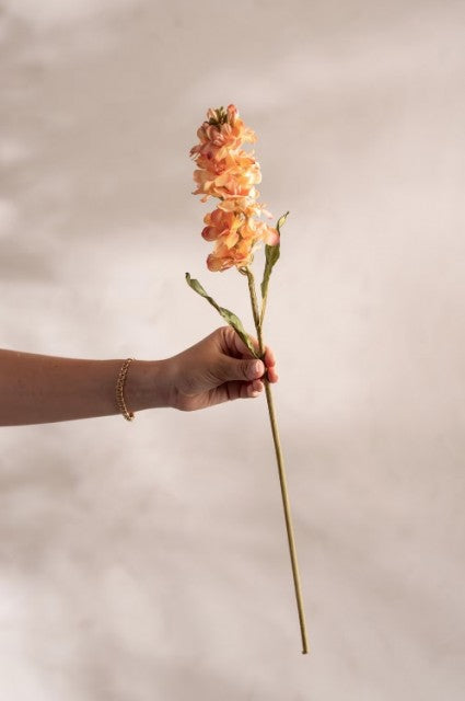 Levkøy Oransje, 53cm