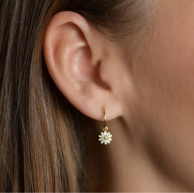 LIV Øredobber i forgylt sølv, Hvit prestekrage