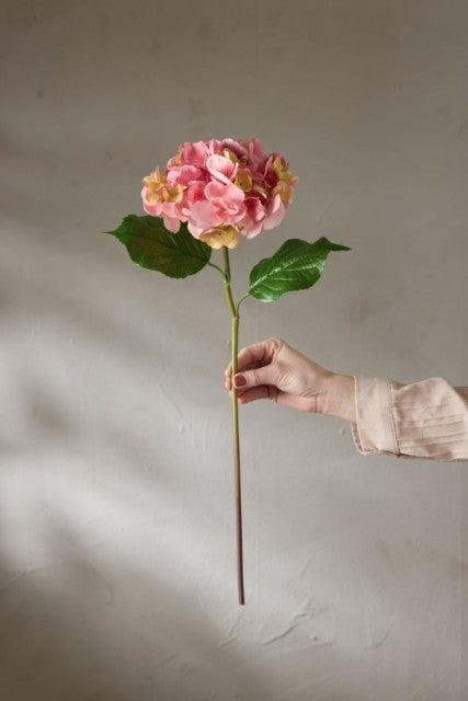 Hortensia Rosa, 55cm