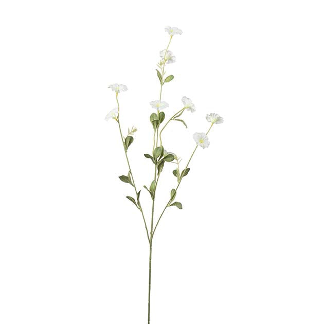 Blådaggry Hvit, 90cm