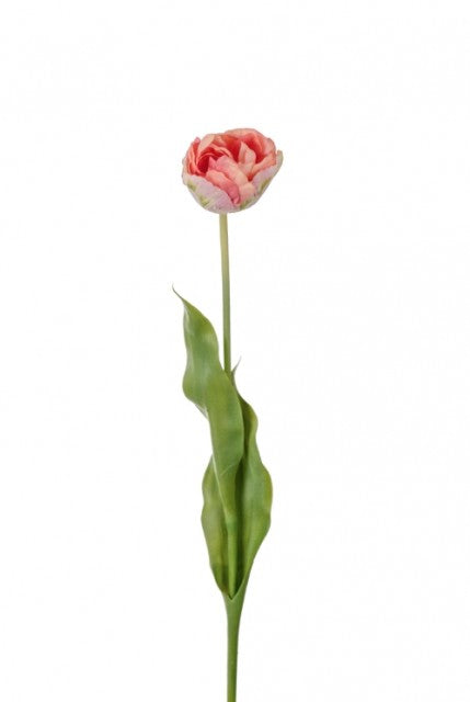 Tulipan Rosa, 67cm