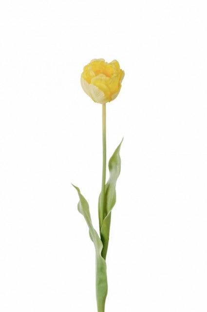 Tulipan Gul, 67cm