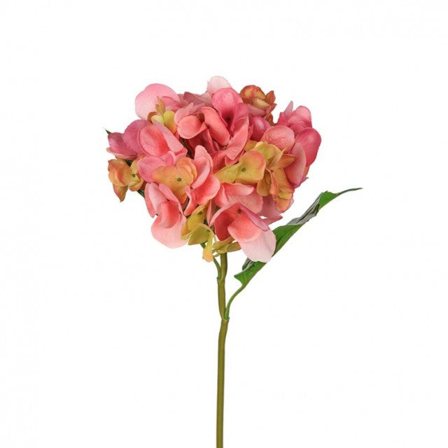 Hortensia Rosa, 55cm