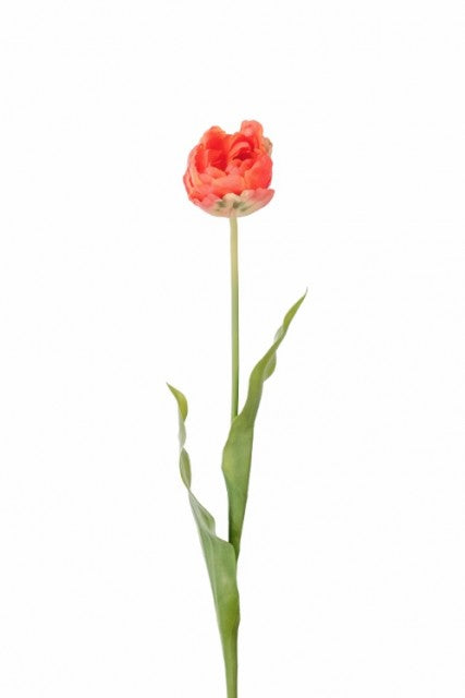 Tulipan Oransje, 67cm