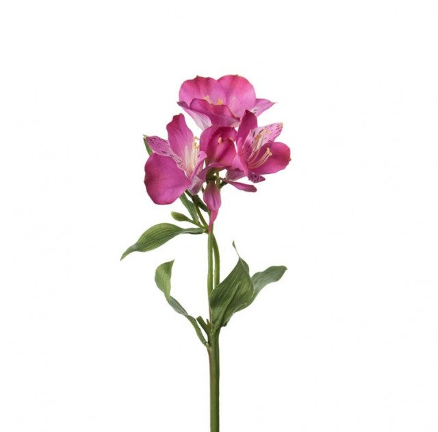 Alstromeria Rosa, 34cm
