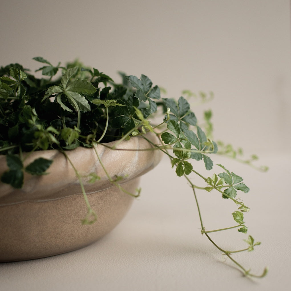 Twine Plate Small, Beige