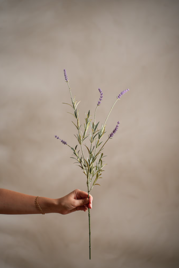 Lavendel, 65cm