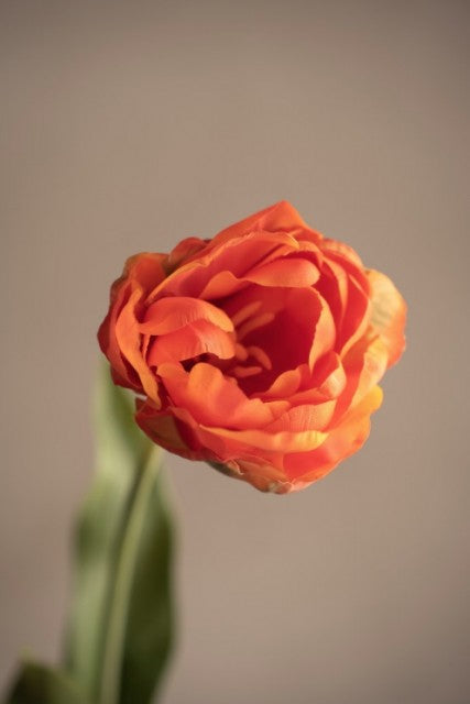 Tulipan Oransje, 67cm