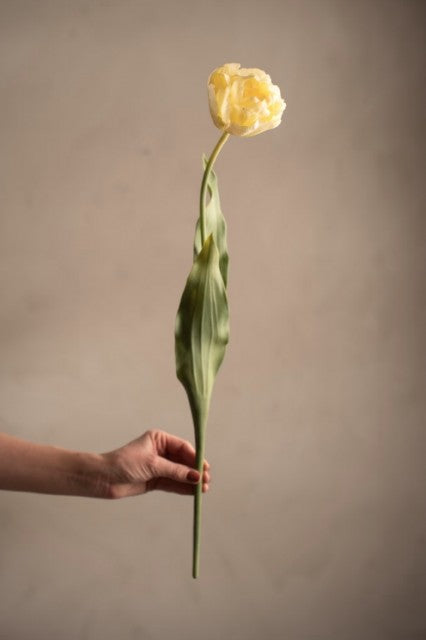Tulipan Gul, 67cm