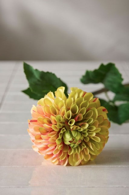 Dahlia, 90cm