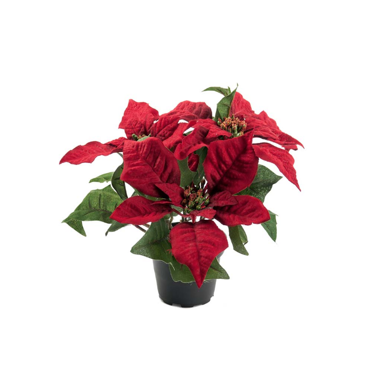 Julestjerne i potte, 23cm