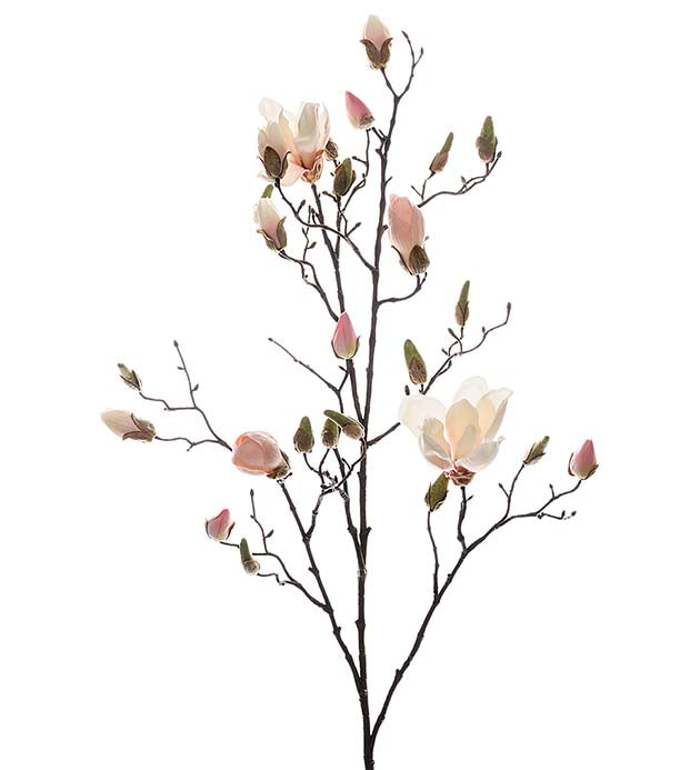 Magnolia, 110cm