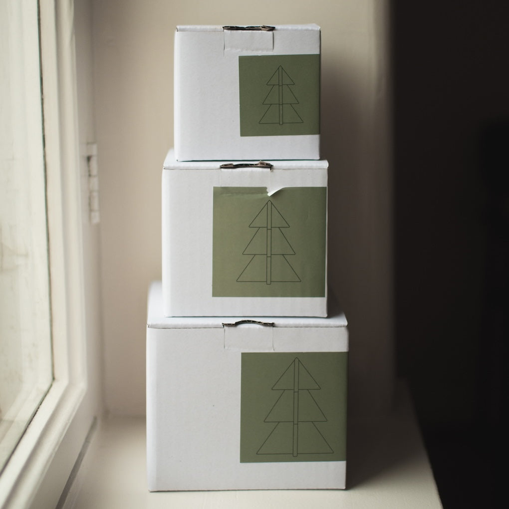 Winter Tree Medium, Green