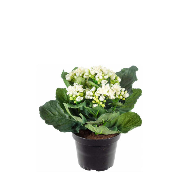 Ildtopp Hvit, 20 cm