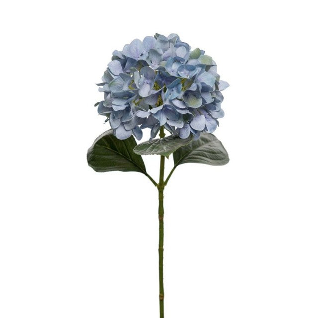 Hortensia Blå, 65cm