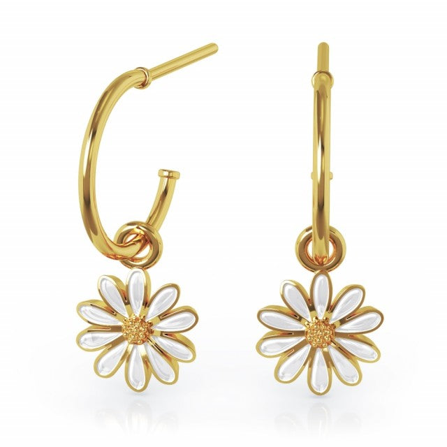 LIV Øredobber i forgylt sølv, Hvit prestekrage