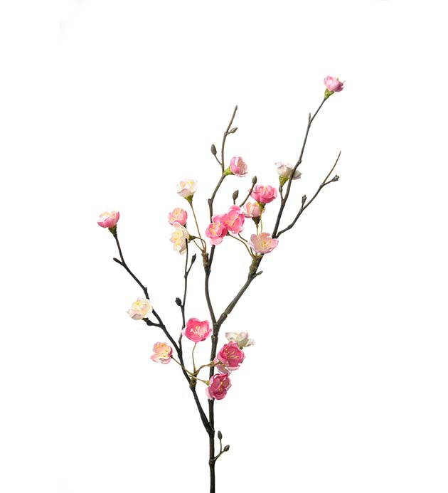 Blomsterkvist Rosa, 50cm