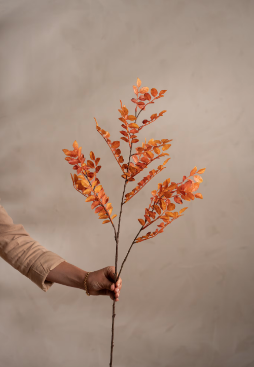 Ruscus, 95 cm