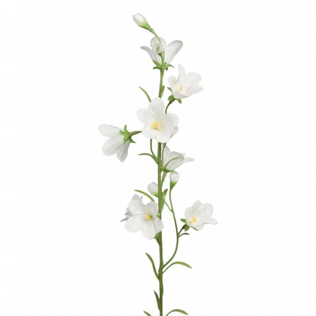 Blåklokke Hvit, 65cm