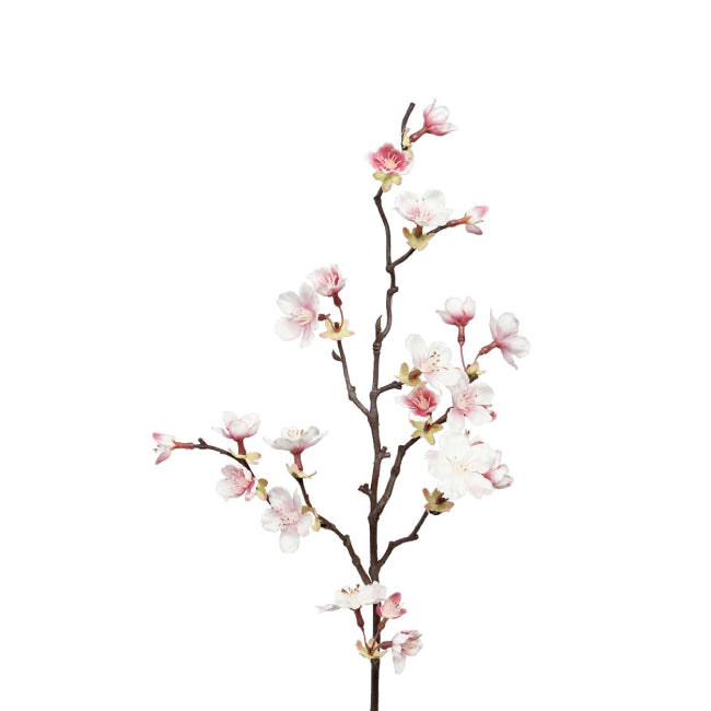 Kirsebærblomst rosa, 60cm