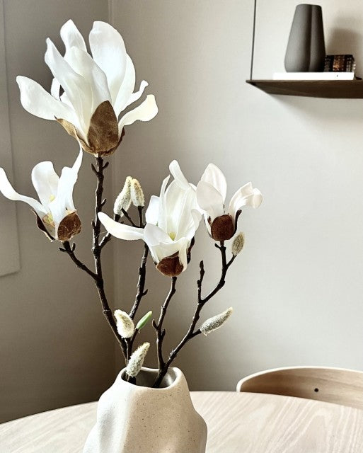 Magnolia, 50cm