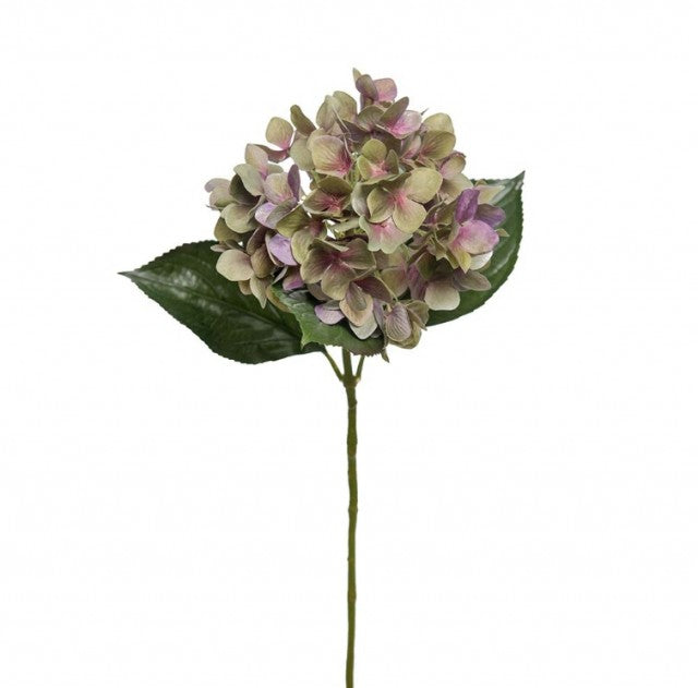 Hortensia Lilla, 65cm