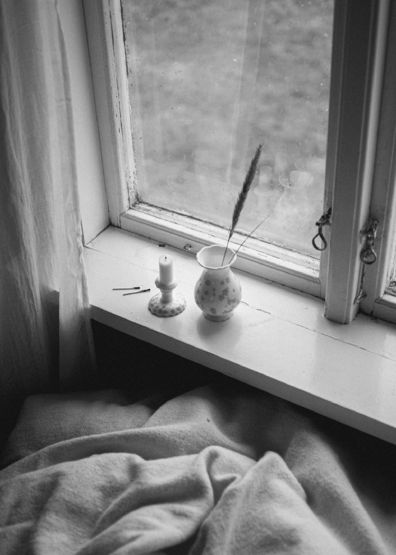 Slåpeblom blå kronelys, 2 pk