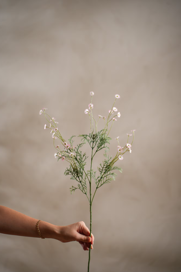 Prestekrage Rosa, 72cm